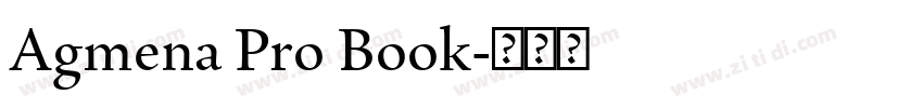 Agmena Pro Book字体转换